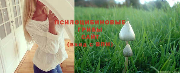 спайс Балахна