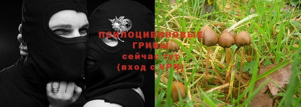 соль курить ск Армянск