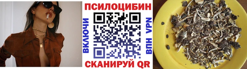 цены   Верея  Галлюциногенные грибы ЛСД 